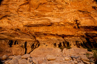 Canyon Wall, Virgin Narrows