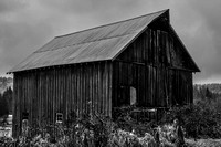 Carnation Barn in Black and White