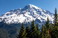 Rampart Ridge, Mount Rainier
