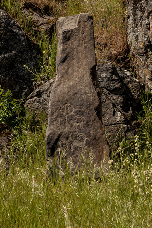 Horse Thief State Park Petroglyph