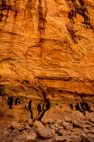 Canyon Wall, Virgin Narrows