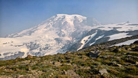 Mount Rainier From Skyline Trail