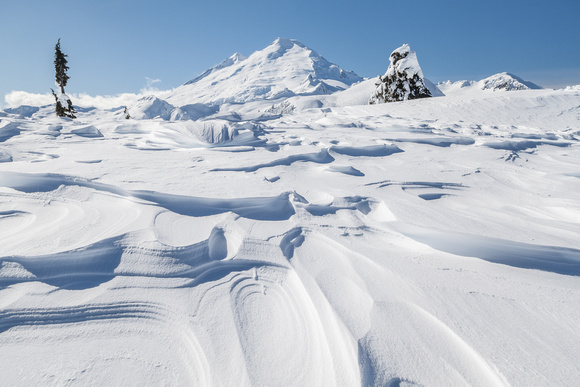Mount Baker In Winter