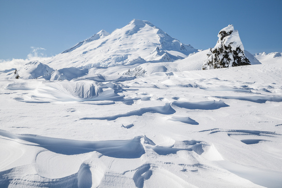 Mount Baker In Winter