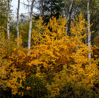 Leavenworth Ranger Districct, Washington