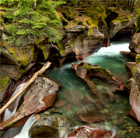 Avalanche Creek Gorge, Glacier National Park, Montana