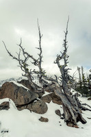 Ingalls Pass