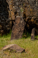 Horse Thief Lake State Park Petroglyph