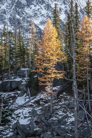 Golden Larches at Colchuck Lake