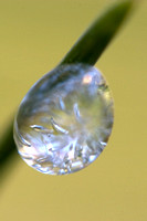 Frozen water droplet